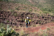 S4278237