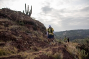 U4277465