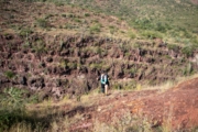 Y4278207