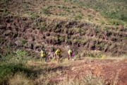 Y4278219