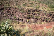 Y4278231
