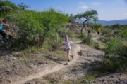 B4278403