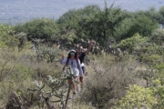 F4278562