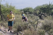 H4278547