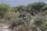 H4279492