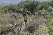 H4279578