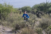 I4278518