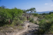 L4279544