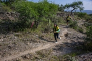 L4279870