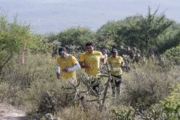 S4278488