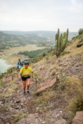 T4275513