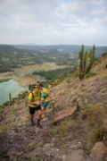Y4276022