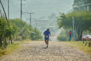 Y4279351